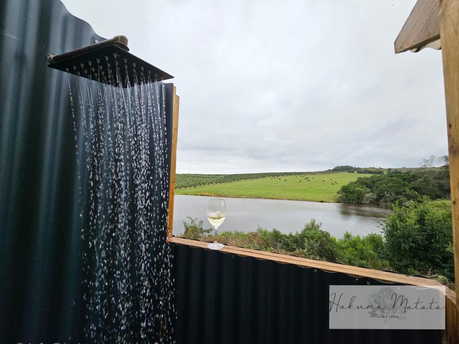 Hakuna Matata Game Farm Great Brak River Extérieur photo