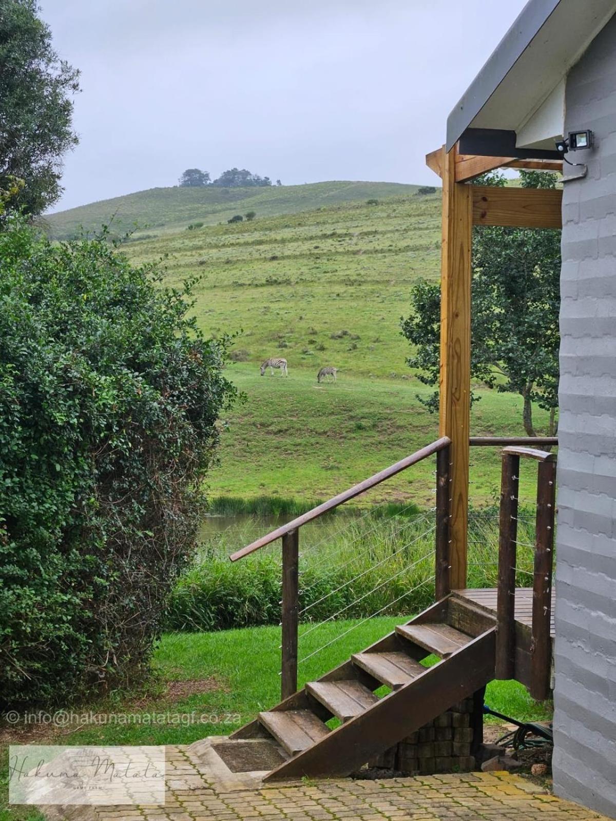 Hakuna Matata Game Farm Great Brak River Extérieur photo
