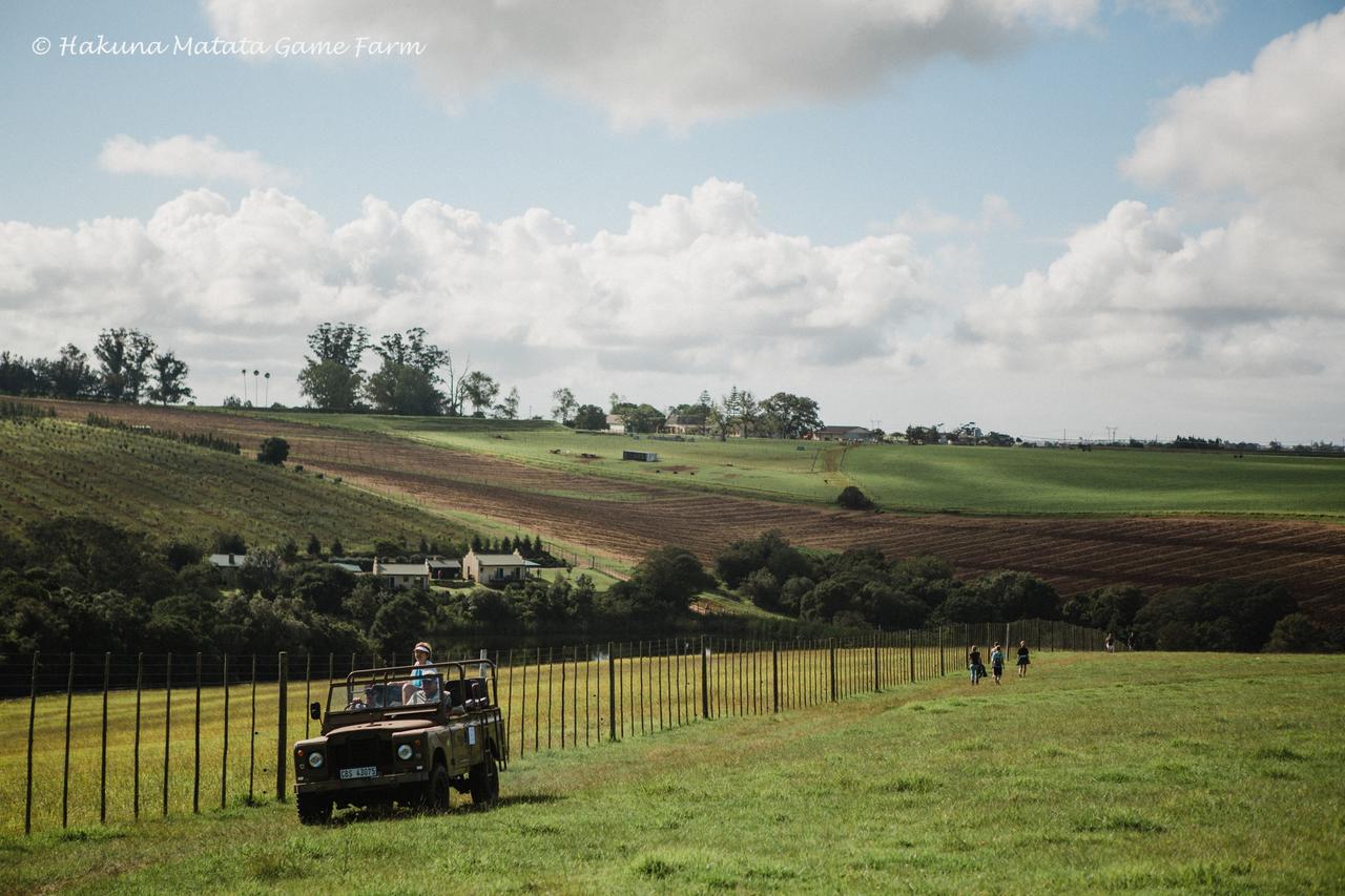 Hakuna Matata Game Farm Great Brak River Extérieur photo