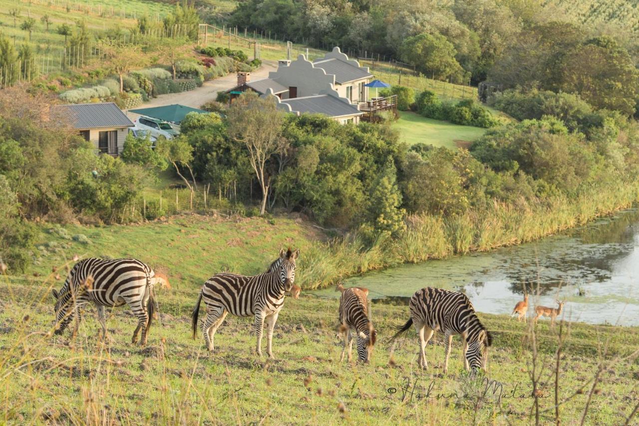 Hakuna Matata Game Farm Great Brak River Extérieur photo